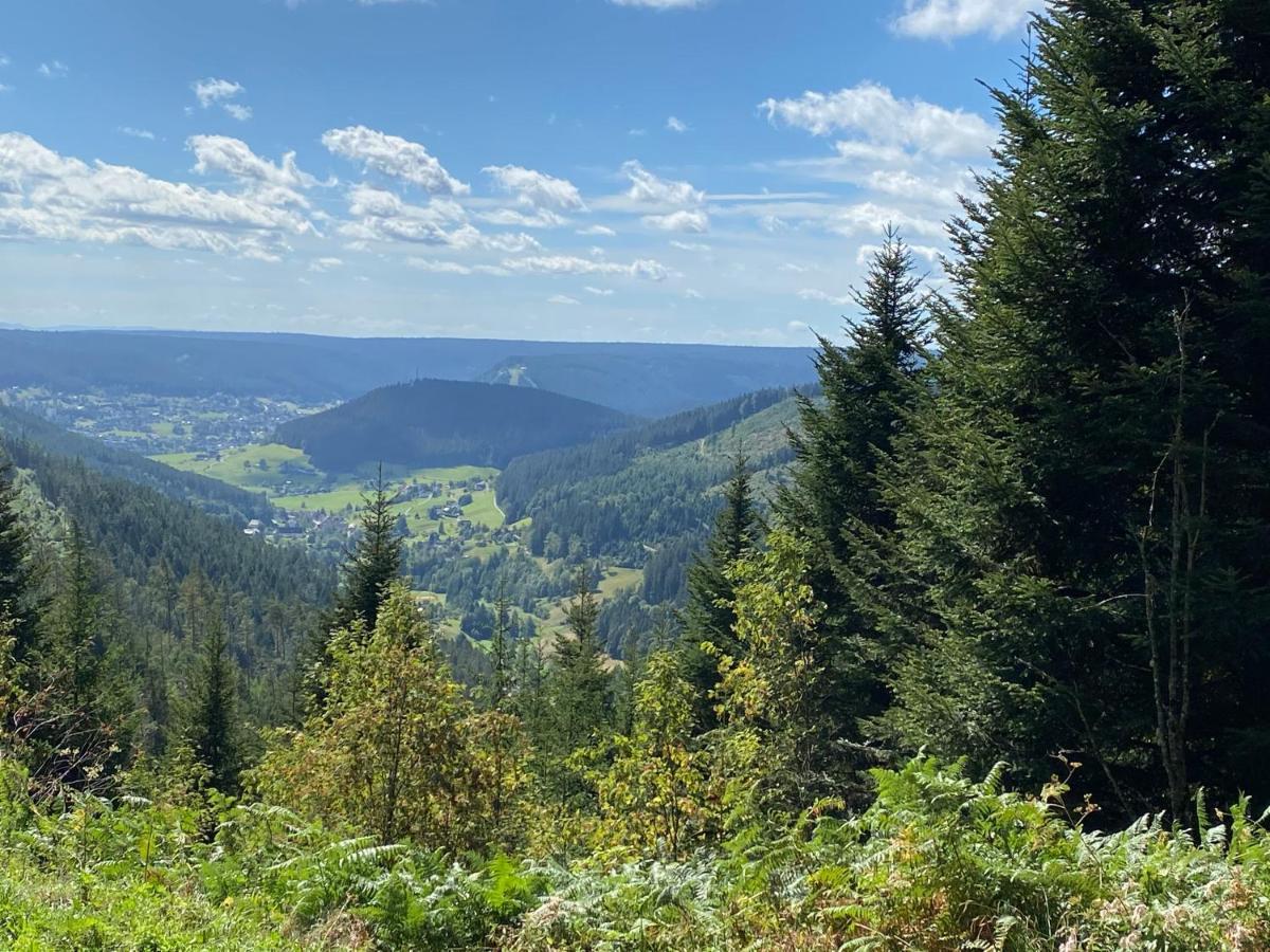 Ferienwohnung am Hirschkopf Baiersbronn Exterior foto